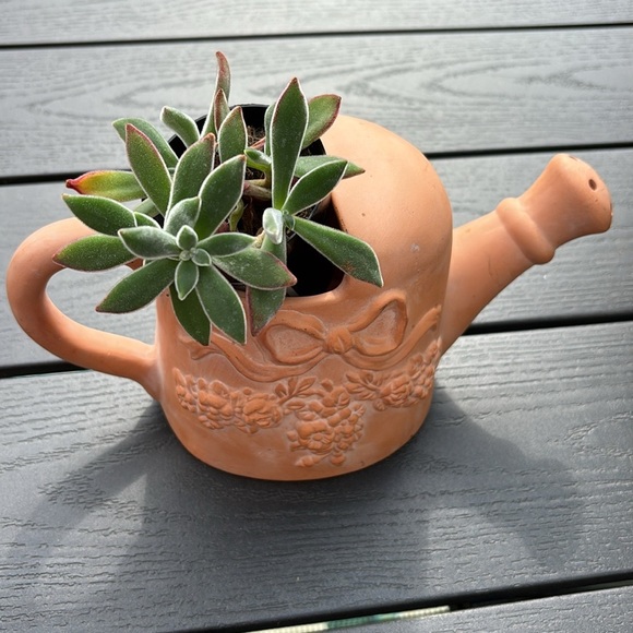 Vintage Terracotta Mini Watering Can Bows Floral Roses or planter plants cactus - Picture 1 of 12